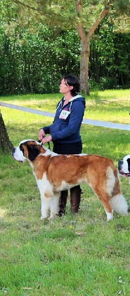 CH. Hinka Des Légendes De Bretagne